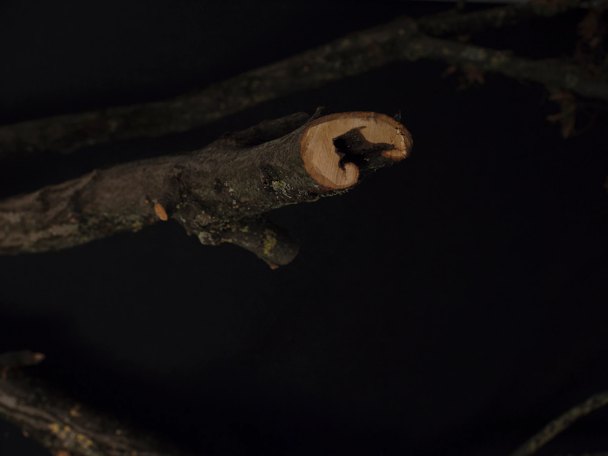 It remains where it falls, unless otherwise agreed upon with the municipality