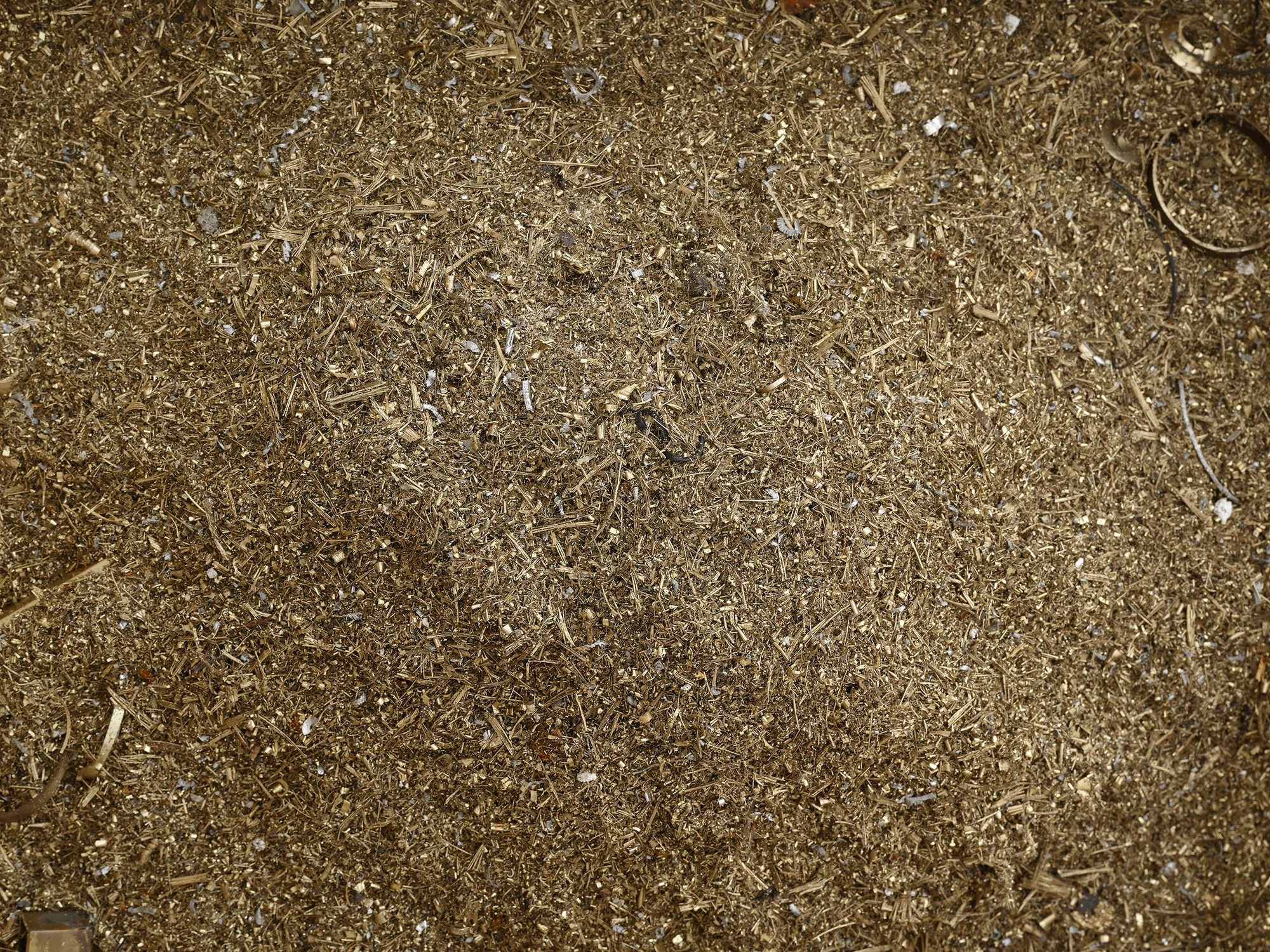 sediment